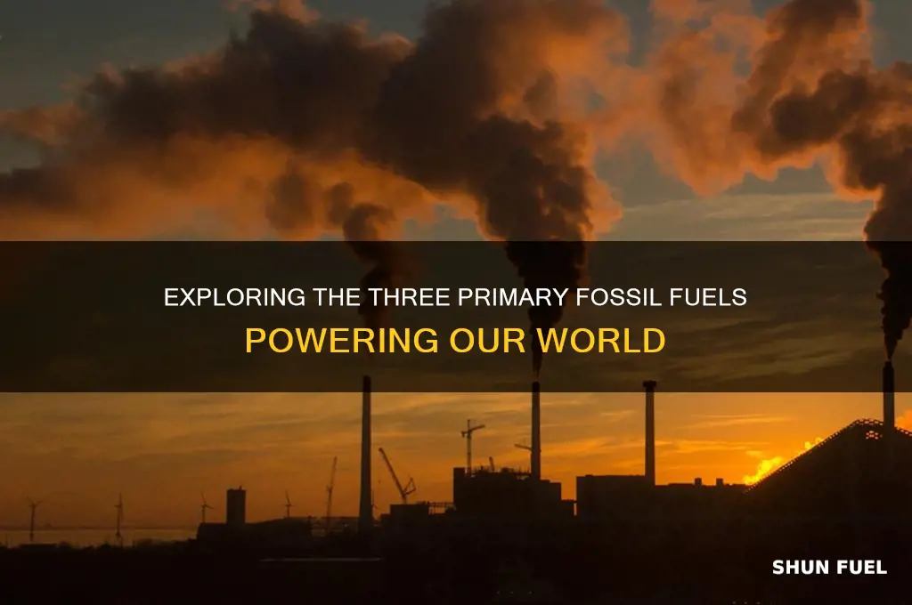 which are the three primary fossil fuel