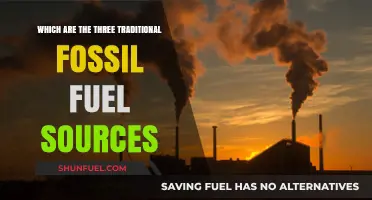 Exploring the Three Traditional Fossil Fuel Sources: Coal, Oil, and Gas