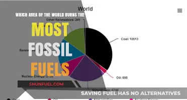 Global Fossil Fuel Consumption: Which Region Burns the Most?