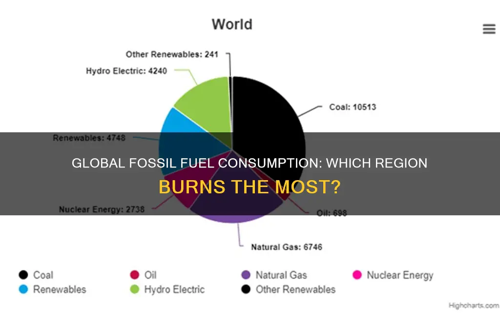 which area of the world burns the most fossil fuels