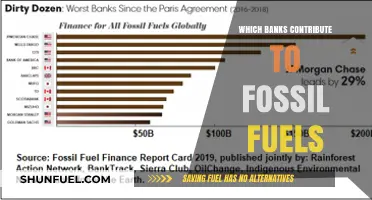 Exposing Banks Funding Fossil Fuels: Uncovering the Climate Culprits