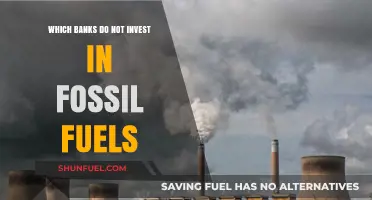 Ethical Banking: Top Banks Avoiding Fossil Fuel Investments