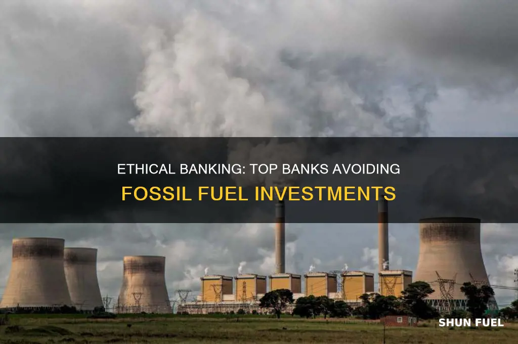 which banks do not invest in fossil fuels