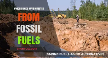 Banks Leading the Way: Divestment from Fossil Fuels Revealed