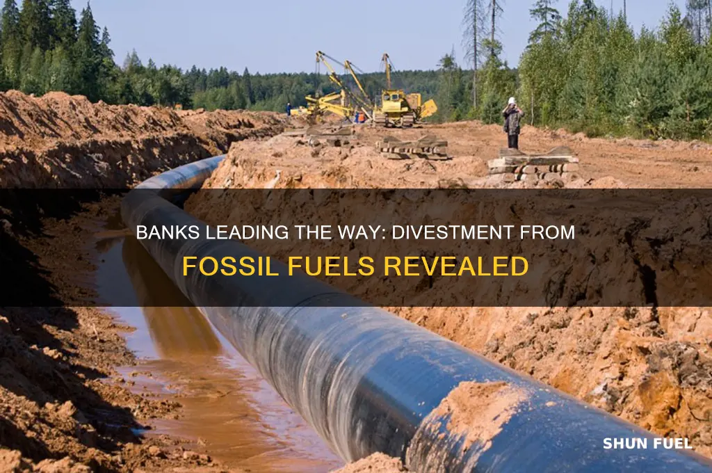 which banks have divested from fossil fuels
