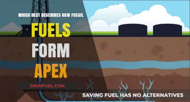 How Fossil Fuels Form: Unveiling the Apex Process of Creation