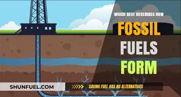Unveiling the Ancient Process: How Fossil Fuels Form Over Millions of Years