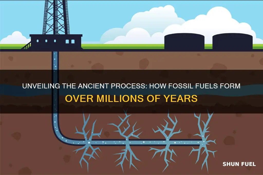 which best describes how fossil fuels form