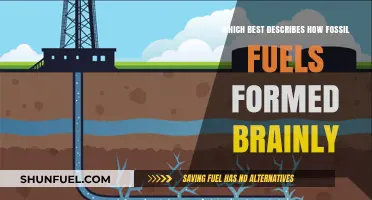 How Fossil Fuels Formed: Unraveling the Ancient Process Beneath Us