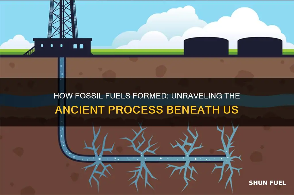 which best describes how fossil fuels formed brainly