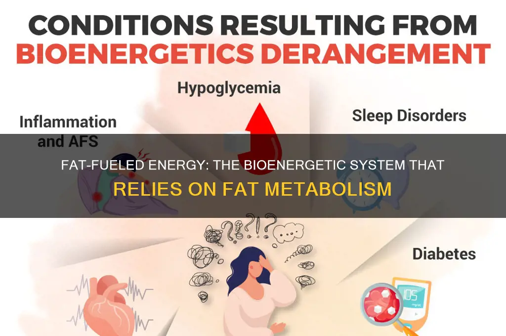 which bioenergetic system primarily uses fat as a fuel source