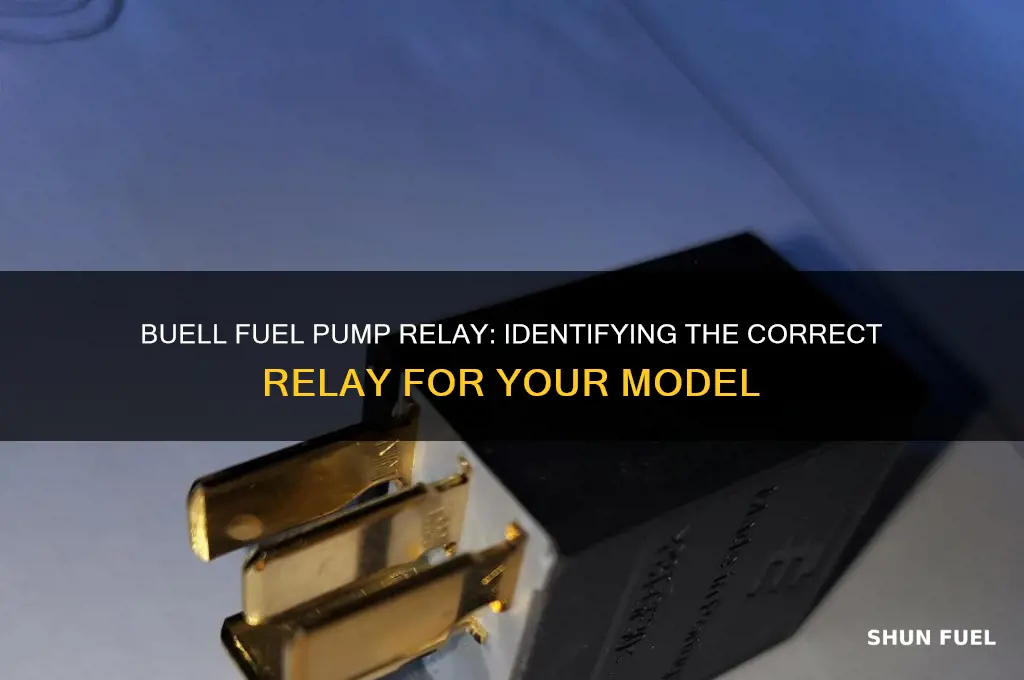 which buell relay runs fuel pump