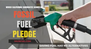 California Candidates Committing to a Fossil Fuel-Free Future