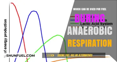 Anaerobic Respiration: Unlocking Fuel Sources for Energy Production in Cells