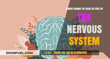 What Fuels the Nervous System? Surprising Substances It Cannot Use