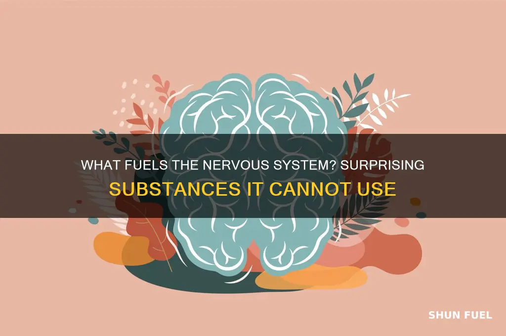 which cannot be used as fuel by the nervous system