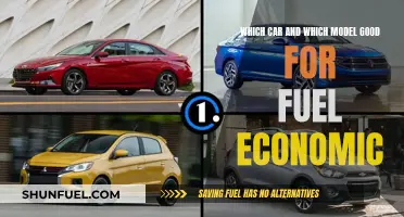 Fuel-Efficient Cars: Choosing the Right Model
