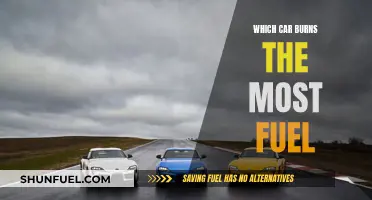 Gas Guzzlers: Which Cars Burn the Most Fuel?