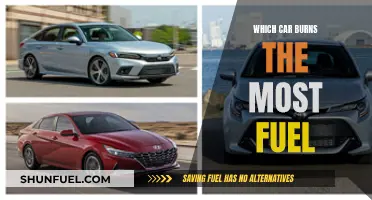Fuel Guzzlers: Cars Burning the Most Gasoline