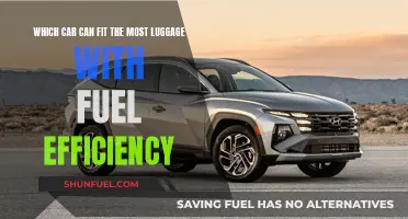 Fuel-Efficient Cars with Maximum Luggage Space