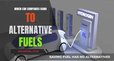 The Future of Fuel: Car Companies Embrace Alternative Energy Sources