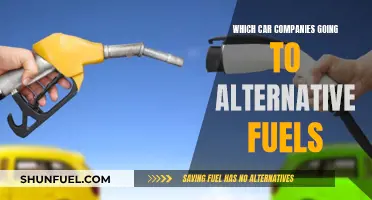 The Shift to Alternative Fuels: Car Companies Leading the Change