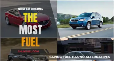 Gas Guzzlers: Top Cars with the Highest Fuel Consumption