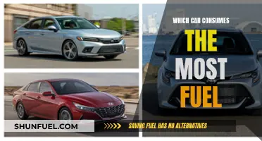 Fuel Guzzlers: Cars with the Highest Consumption Rates