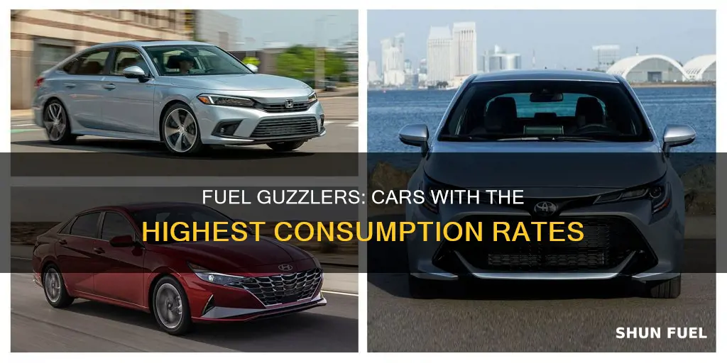 which car consumes the most fuel