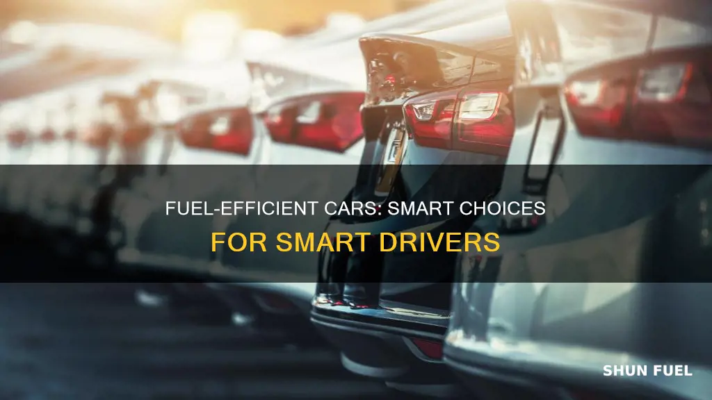 which car does not consume much fuel