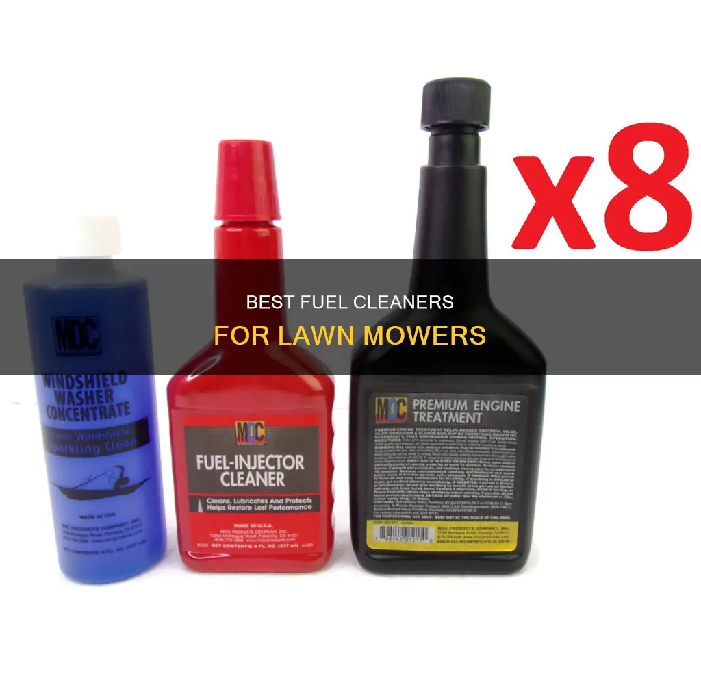which car fuel cleaner can i use in lawn mower