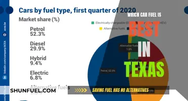 Texas Car Fuel: Best Options for Drivers