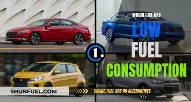 Choosing a Car with Low Fuel Consumption