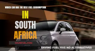 South Africa's Fuel-Efficient Car Champion: Unveiling the Ultimate Fuel Saver