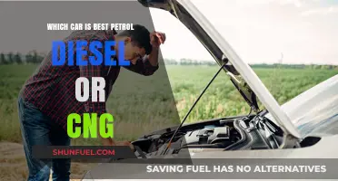 Petrol, Diesel, or CNG: Which Fuel Type Reigns Supreme?