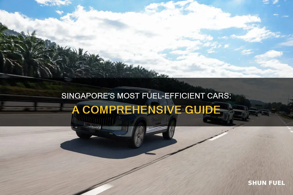 which car is most fuel efficient in singapore