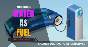 Hydrogen Cars: Water as Fuel?