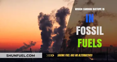 Fossil Fuels' Carbon Isotope: Unveiling the Dominant Signature in Energy Sources