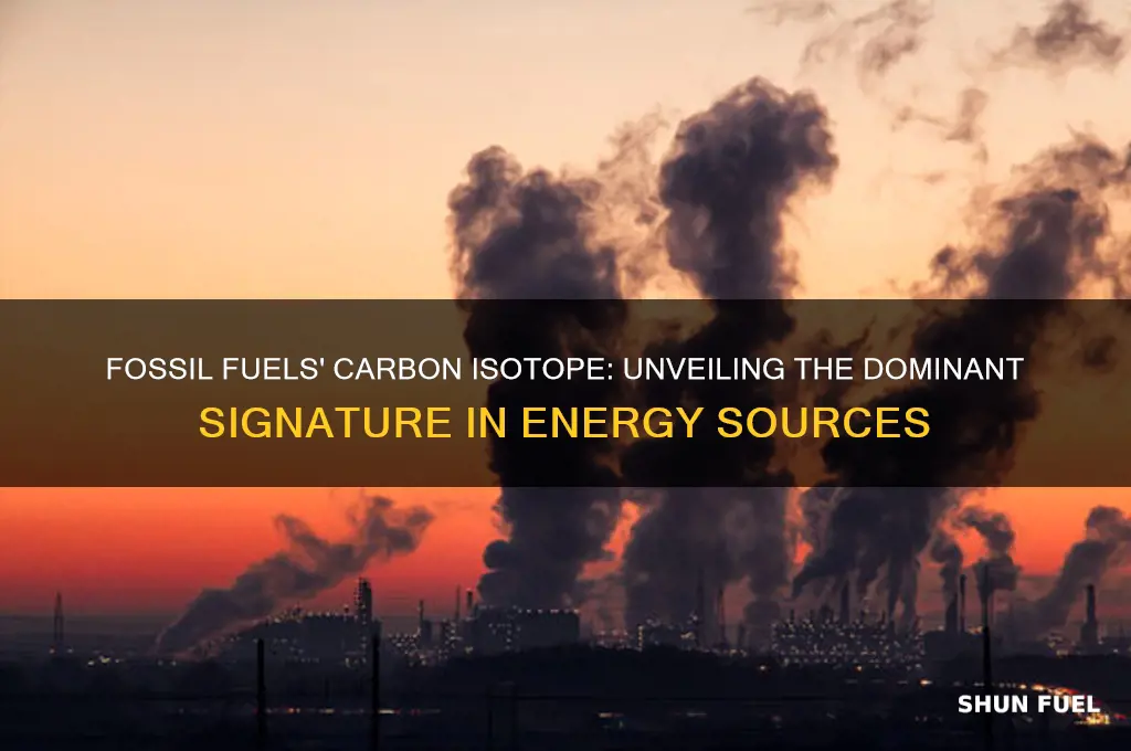 which carbon isotope is in fossil fuels