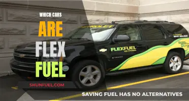 Flex Fuel Vehicles: A Comprehensive Guide to Compatibility