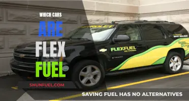 Flex Fuel Cars: Exploring the Vehicle Options