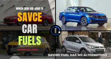 Best Cars to Save Fuel: Efficient Models Revealed