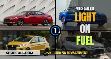 Fuel-Efficient Cars: Light on Fuel, Heavy on Performance