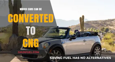 Exploring Eco-Friendly Options: Cars That Can Be Converted to CNG