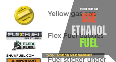 Ethanol Fuel: A Guide to Compatible Car Models