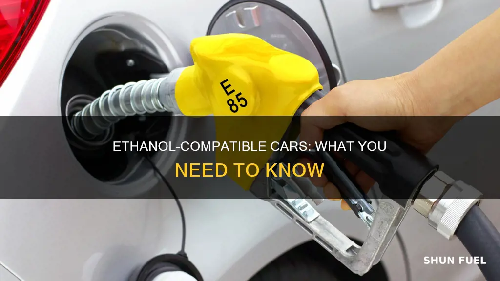 which cars can use ethanol fuel