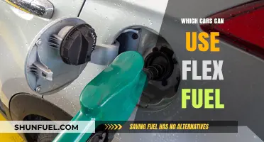 Flex Fuel Compatibility: Which Cars Can Run on Ethanol Blends?