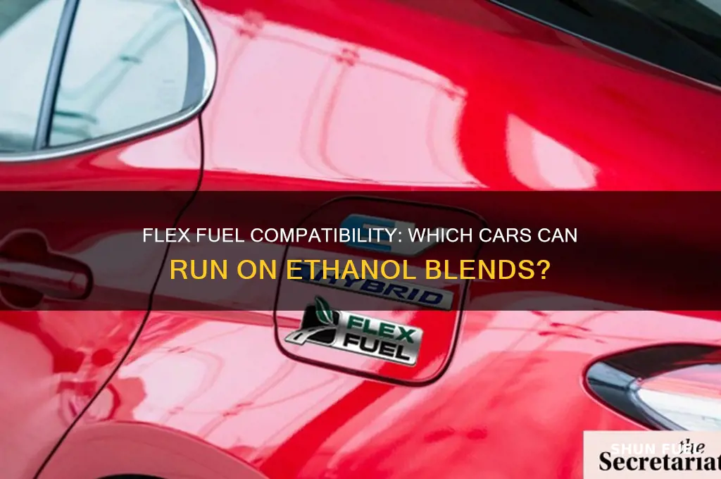 which cars can use flex fuel