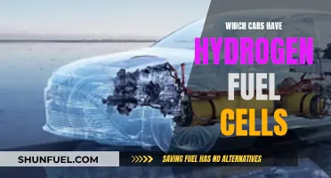 Hydrogen Fuel Cell Cars: A Comprehensive Guide