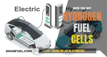 Hydrogen-Powered Cars: Exploring Fuel Cell Technology Options